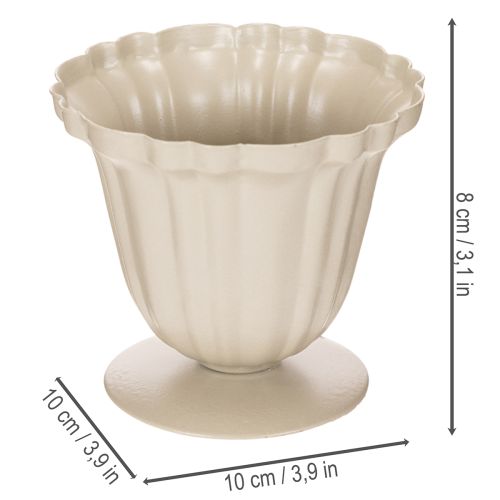Dekoratív tál, krémszínű trófea, kicsi, 10cm | Floristik24.hu