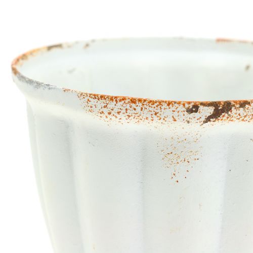 Floristik24 Antik stílusú kehely fehér Ø9cm H12,6cm