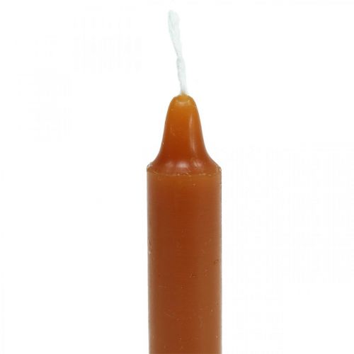 Floristik24 Fa gyertyák piramis gyertyák Ø13×H105mm barna, arany 10db