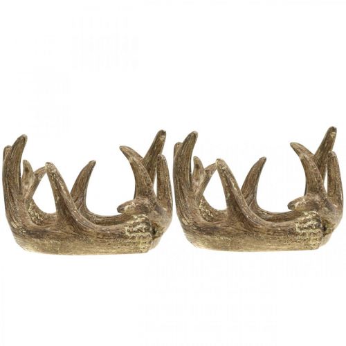 Floristik24 Tealámpa tartó gyertyatartó agancs arany H7cm Ø10cm 2db