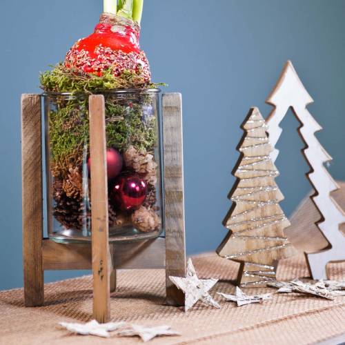 Floristik24 Gyertyatartó fa üveggel Ø15cm H18cm