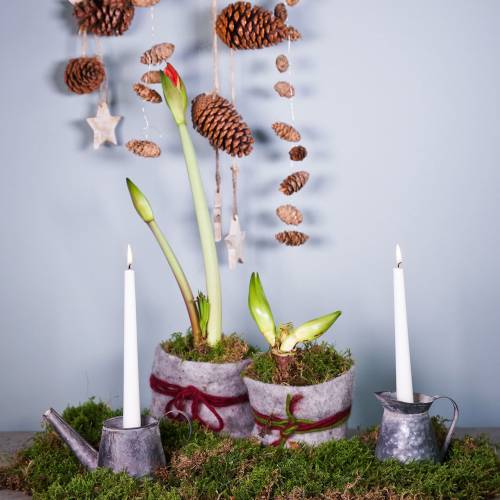 Floristik24 Gyertyatartó kancsó antik megjelenés H12/9cm 2db