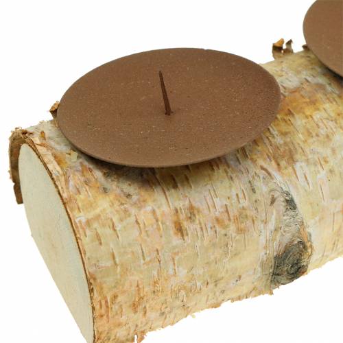 Floristik24 Gyertyatartó 4 tövis nyír 40cm x 8cm H9cm