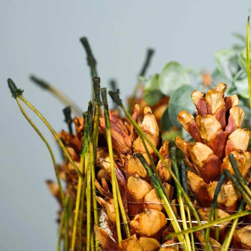 Floristik24 Fenyőtű zöld 400g