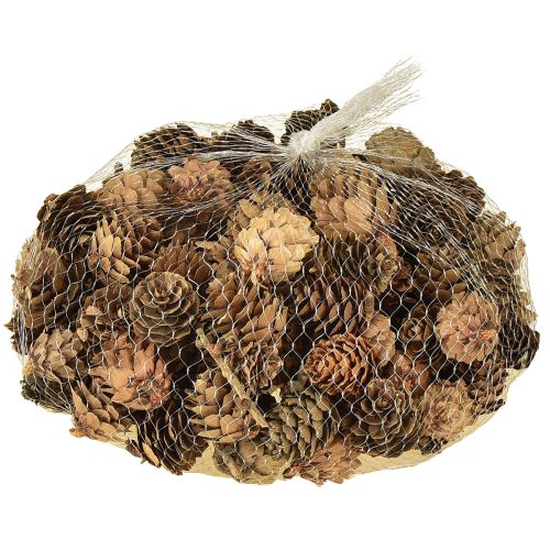 Fenyőtobozok, természetes tobozdíszek, hálós kiszerelésben, 2,5-3,5 cm, 300 g | Floristik24.hu