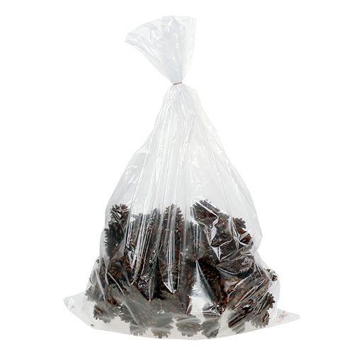 tételeket Fenyőtobozok viaszos drótozva 100 db