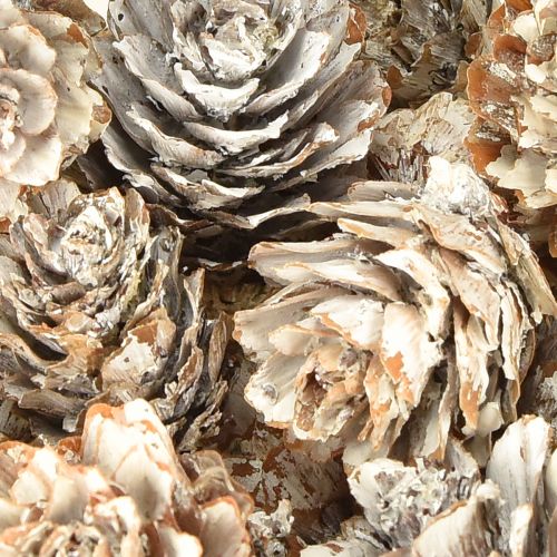 Floristik24 Fehérített fenyőtobozok, apró tobozdíszek hálóban, 2,5-3,5 cm, 500 g