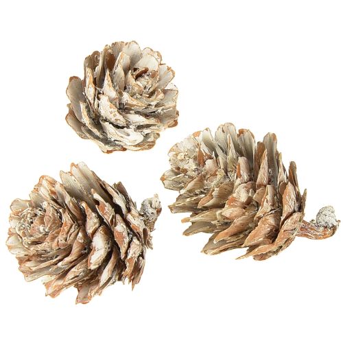 Floristik24 Fehérített fenyőtobozok, apró tobozdíszek hálóban, 2,5-3,5 cm, 500 g