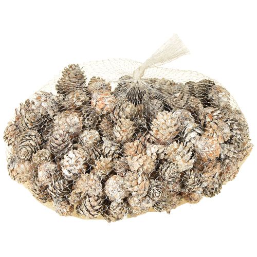 Fehérített fenyőtobozok, apró tobozdíszek hálóban, 2,5-3,5 cm, 500 g | Floristik24.hu