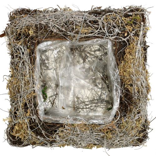 Floristik24 Párna moha, szőlő 25cm x 25cm