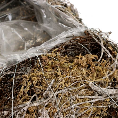 Floristik24 Párna moha, szőlő 25cm x 25cm