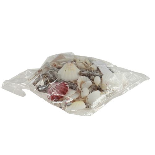 Floristik24 Szélcsengő tengeri csillagkagyló 80cm