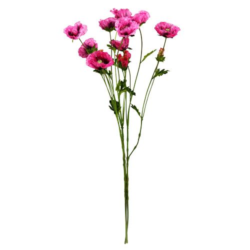 Floristik24 Poppy Pink 63cm 3db