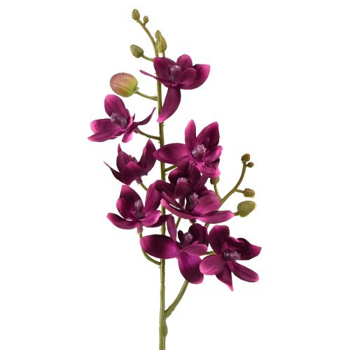Kis orchidea Phalaenopsis művirág sötétlila 30cm