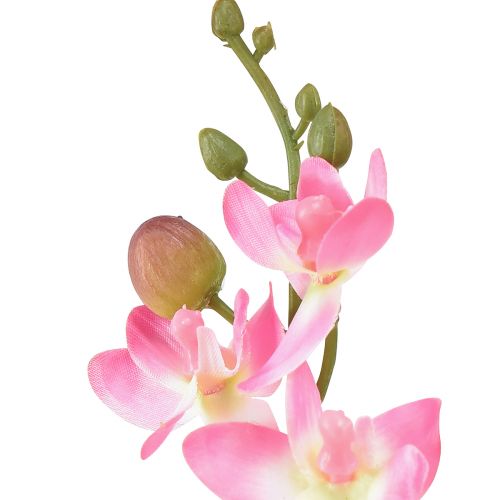 tételeket Kis orchidea Phalaenopsis művirág rózsaszín 30cm
