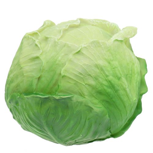 Floristik24 Fehér káposzta Ø16 cm