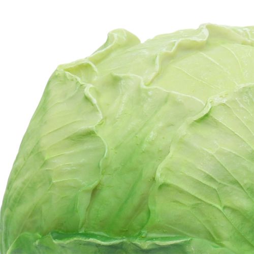 Floristik24 Fehér káposzta Ø16 cm