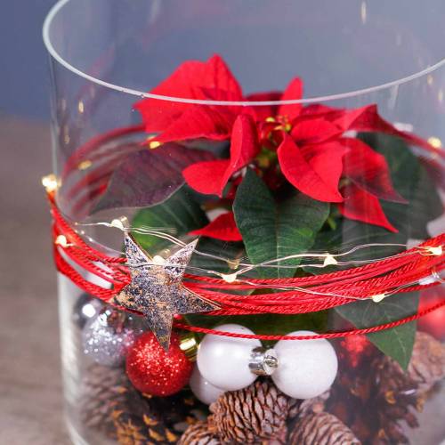 Floristik24 Kókuszcsillag ezüst 5cm 50db asztaldísz ezüst Adventi dekorációs csillagok