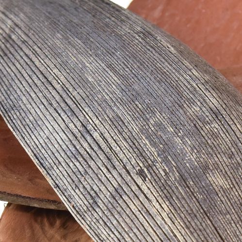 Floristik24 Kókuszhéj kókuszlevél natúr szárított 22cm - 42cm 25 db