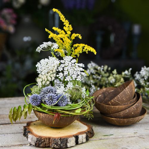 Floristik24 Kókusz dísztál natúr polírozott 6 db