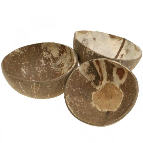Floristik24 Coconut Deco Bowl Natural Polished 6db