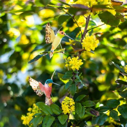 Floristik24 Kolibri dróttal 5,5cm L22cm válogatott 12db