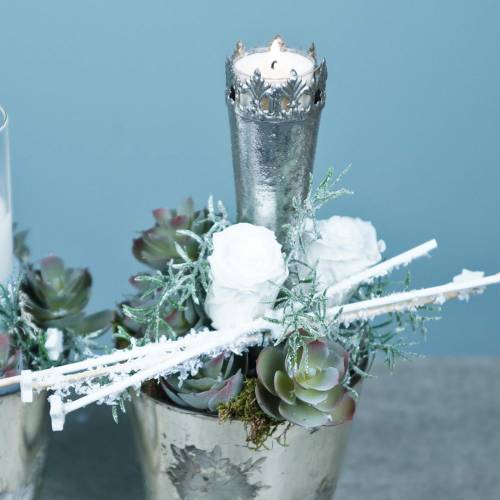 tételeket Tartósított rózsa közepes Ø4-4,5cm fehér 8 db