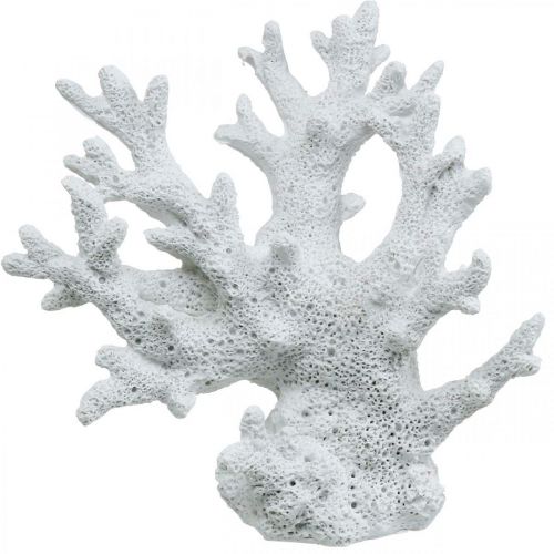 Floristik24 Tengeri dekoráció korall fehér nyári dekoráció 14,5×14,5cm