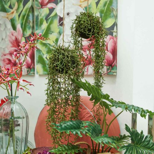 Floristik24 Korallkaktusz mesterséges Rhipsalis akasztó 90cm