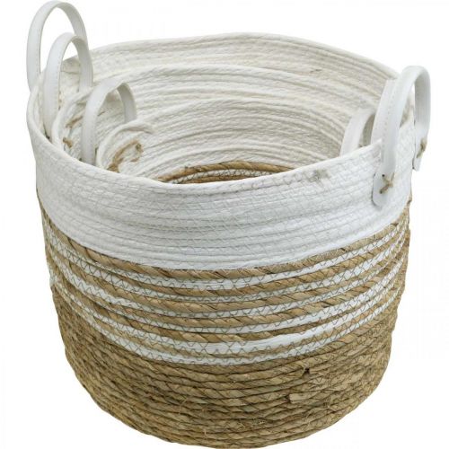 Floristik24 Ültetőkosár, fogantyús edény, szervező fehér, natúr Ø32/28/23cm H30/25/19cm 3 db-os készlet