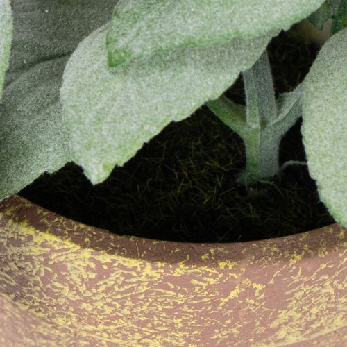 tételeket Műfűszeres cserép dekoratív fűszernövényekkel konyhába, kertbe, erkélyre vagy teraszra, 15 m³, 3 darab