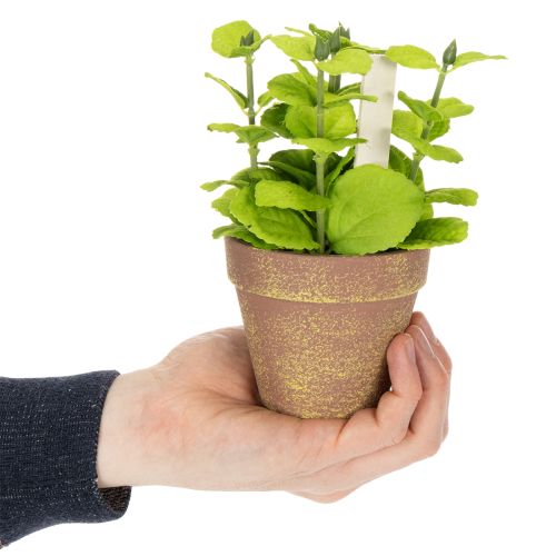 tételeket Műfűszeres cserép dekoratív fűszernövényekkel konyhába, kertbe, erkélyre vagy teraszra, 15 m³, 3 darab