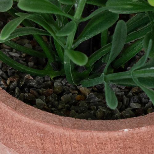 Műnövény virágcserépben, realisztikus textúrával, beltéri használatra és dekorációhoz, 18 cm, 3 darab | Floristik24.hu