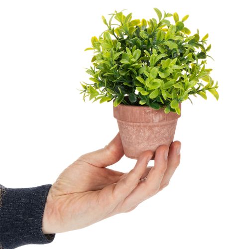Műnövény virágcserépben, realisztikus textúrával, beltéri használatra és dekorációhoz, 18 cm, 3 darab | Floristik24.hu