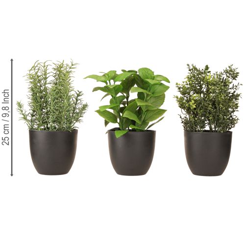 Floristik24 Mesterséges gyógynövények bazsalikom kakukkfű rozmaring Ø11,5cm 3db