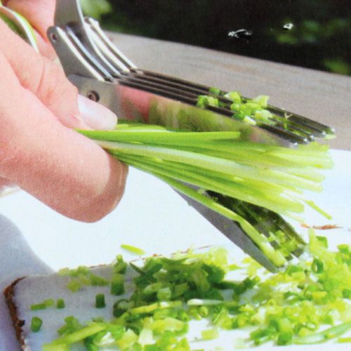 Floristik24 Metélőhagyma olló 5 pengével