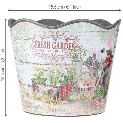tételeket Gyógynövénycserép virágcserép műanyag Fresh Garden H13,5cm 2db