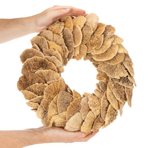 Fagomba koszorú, natúr színű, ajtó- vagy faldekorációra, 37 cm | Floristik24.hu