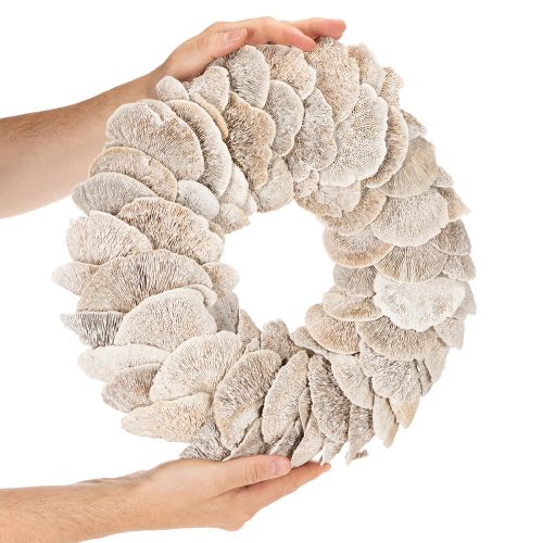 Koszorúfa Szivacs Természetes Dekoráció 37cm | Floristik24.hu