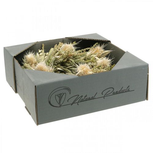 Floristik24 Szárított virágkoszorú bogáncs fűszemekből Ø28cm