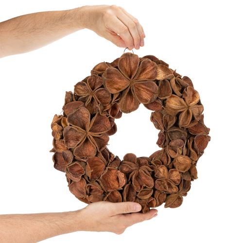 Szárított Lótusz Koszorú, Dekoratív Ajtókoszorú, 35cm | Floristik24.hu