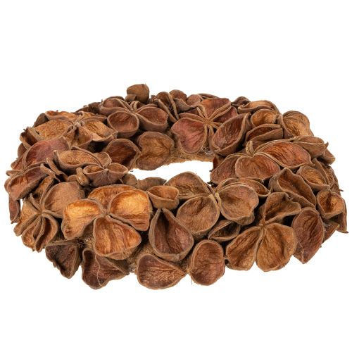 Szárított Lótusz Koszorú, Dekoratív Ajtókoszorú, 35cm | Floristik24.hu