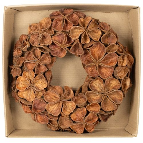 Szárított Lótusz Koszorú, Dekoratív Ajtókoszorú, 35cm | Floristik24.hu