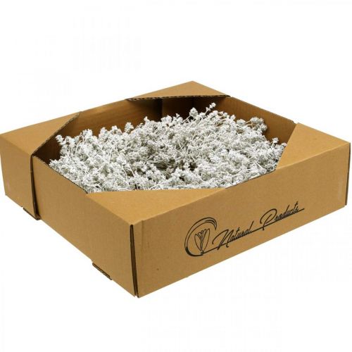 tételeket Karácsonyi koszorú fehér szárított virág koszorú lenvászon Ø34cm