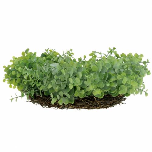 tételeket Koszorú eukaliptusz zöld Ø36cm
