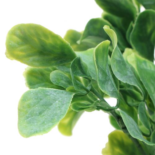 Floristik24 Bazsalikom csokorban műzöld 36cm 6db