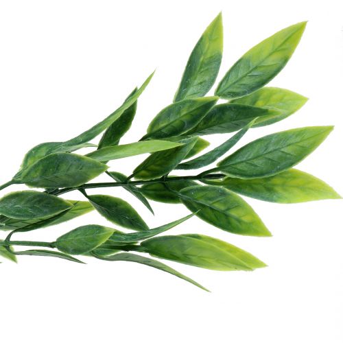 Floristik24 Babér a csokorban műzöld 40cm 7db