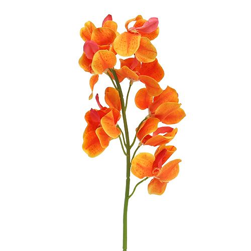 Floristik24 Mesterséges orchidea Mokara Orange 50cm 6db