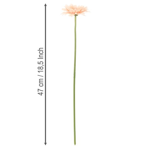 Mesterséges gerbera virágok barackszínű 47cm 6db | Floristik24.hu