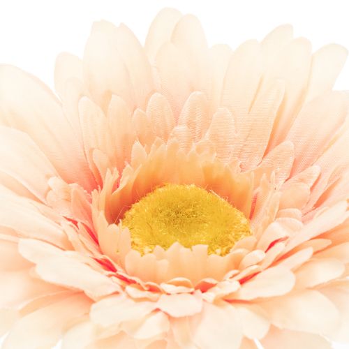 Mesterséges gerbera virágok barackszínű 47cm 6db | Floristik24.hu